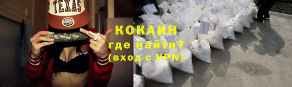 стафф Богданович