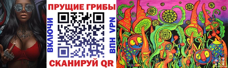 Псилоцибиновые грибы Psilocybe  Гай 