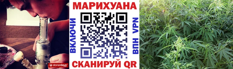 купить  цена  KRAKEN как войти  Каннабис планчик  darknet какой сайт  Гай 